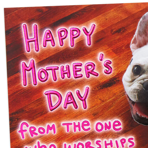 I Worship the Ground You Walk On Mother's Day Card From the Dog, , large image number 4