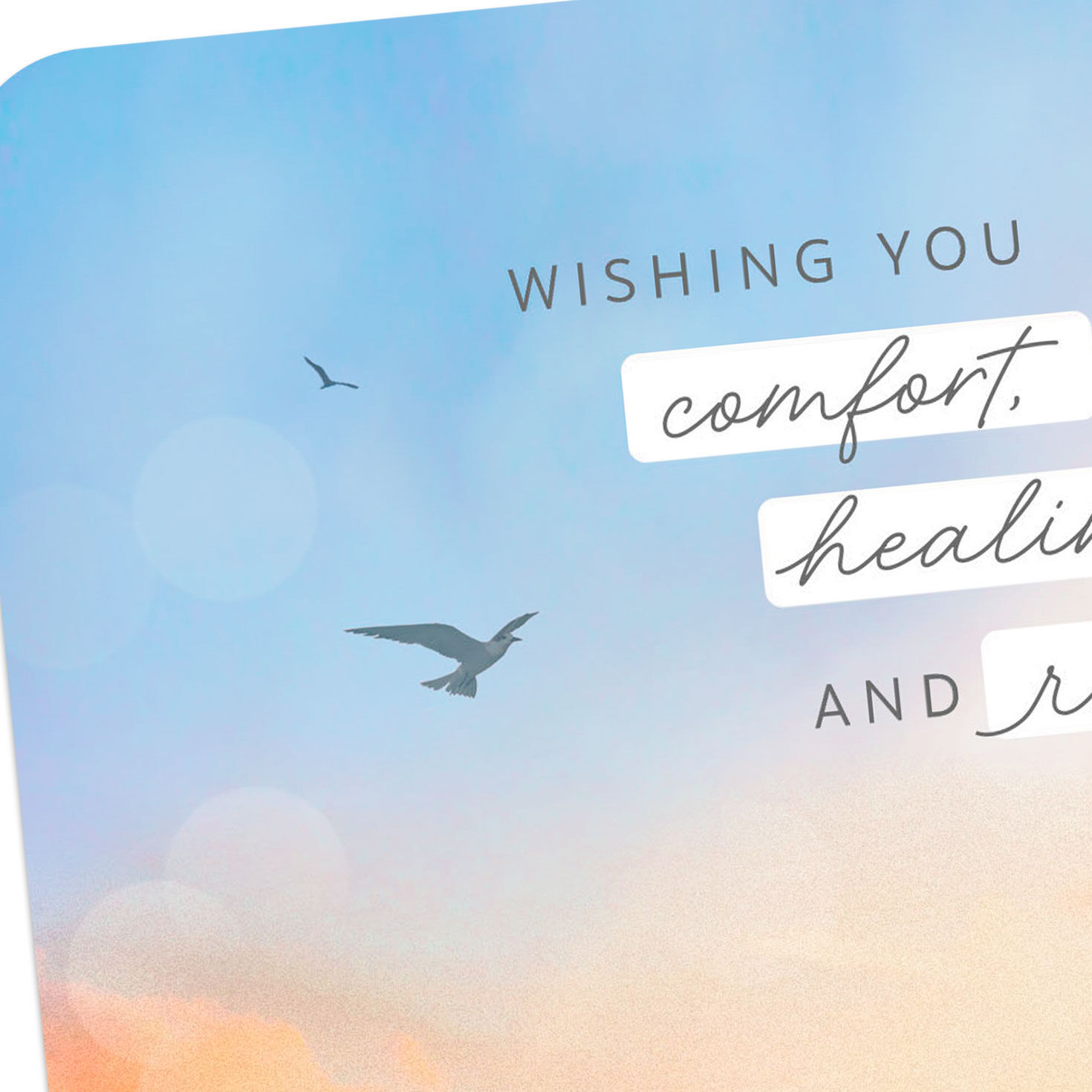 Sunset with Bird Over Meadow Get Well Card Card Front Detail image number 4