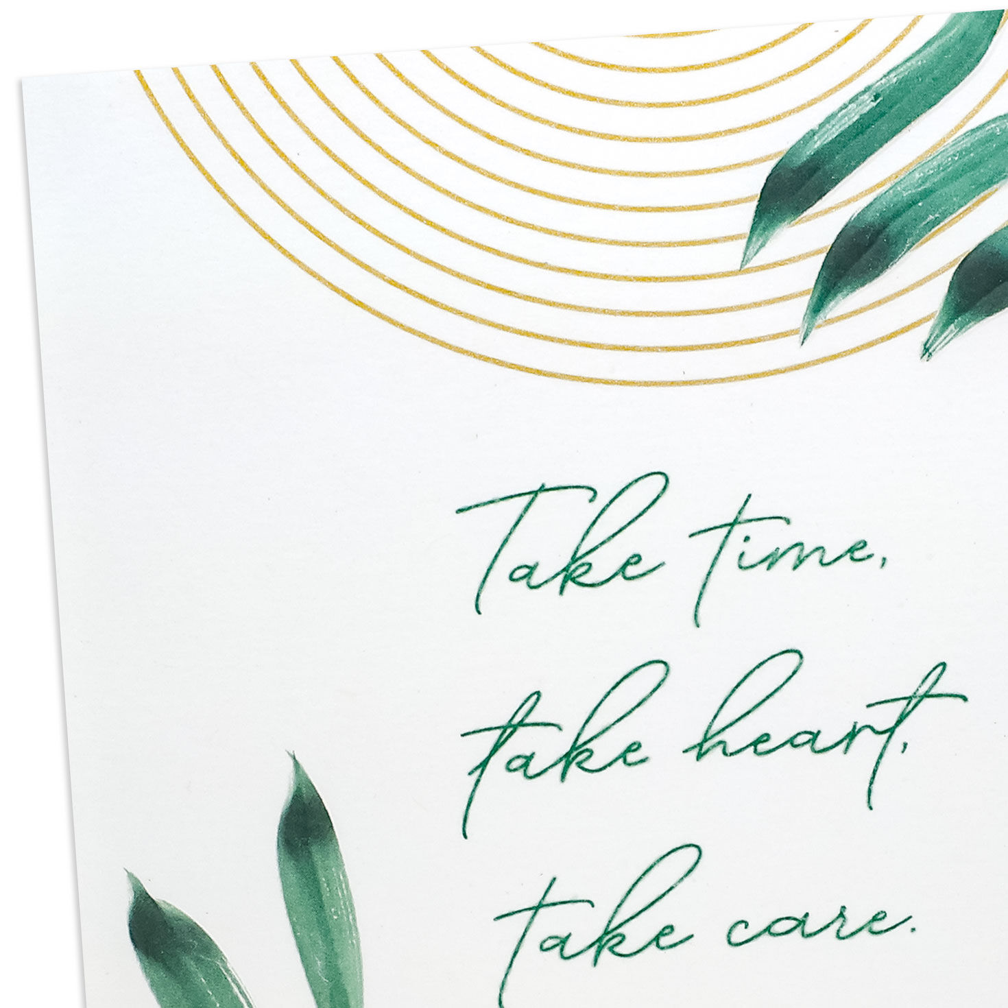 Green Leaves and Gold Arches Get Well Card Card Front Detail image number 5