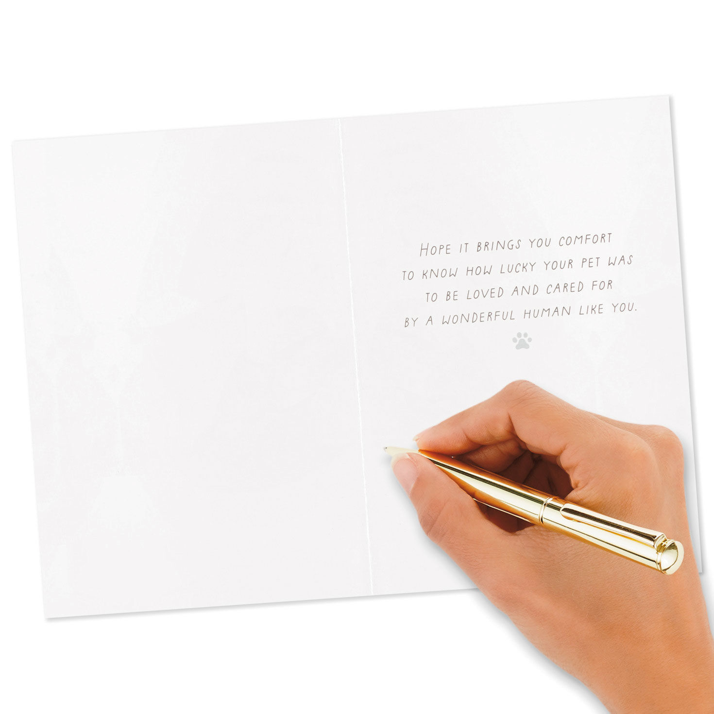 Assorted Watercolor Boxed Sympathy Cards for Loss of Pet, Pack of 16, , large image number 6