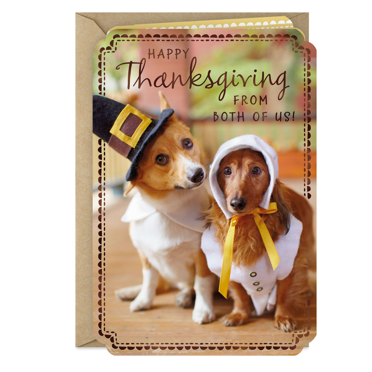 Dogs in Pilgrim Outfits Thanksgiving Card From Both for only USD 2.00 | Hallmark
