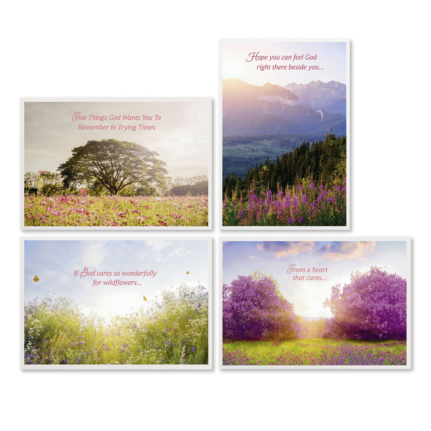 Tranquil Nature Scenes Assorted Religious Care and Concern Cards, Box of 12