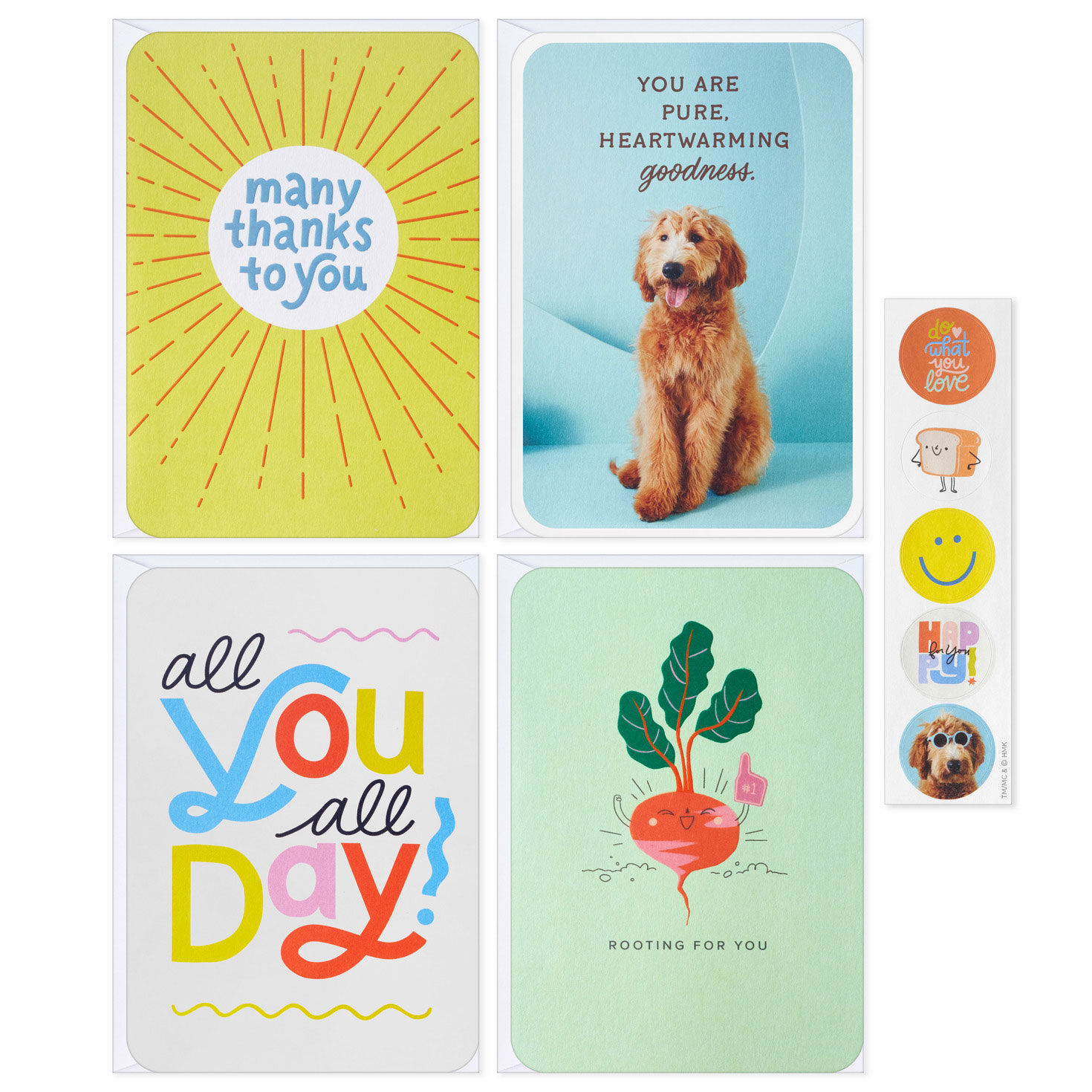 Hallmark+ Membership Renewal Card Assortment card fronts and stickers image number 3