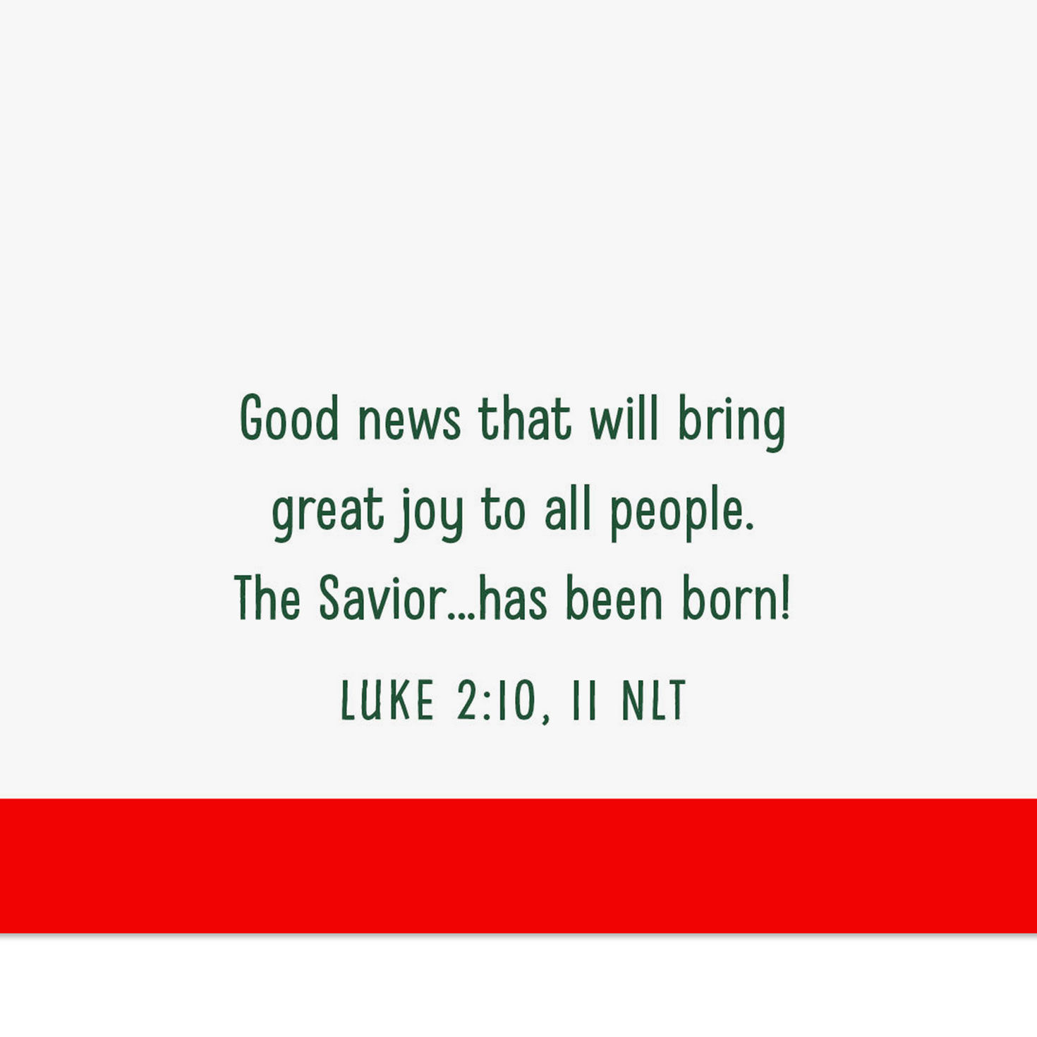 Funny Dog with Gifts Religious Christmas Card Scripture image number 3
