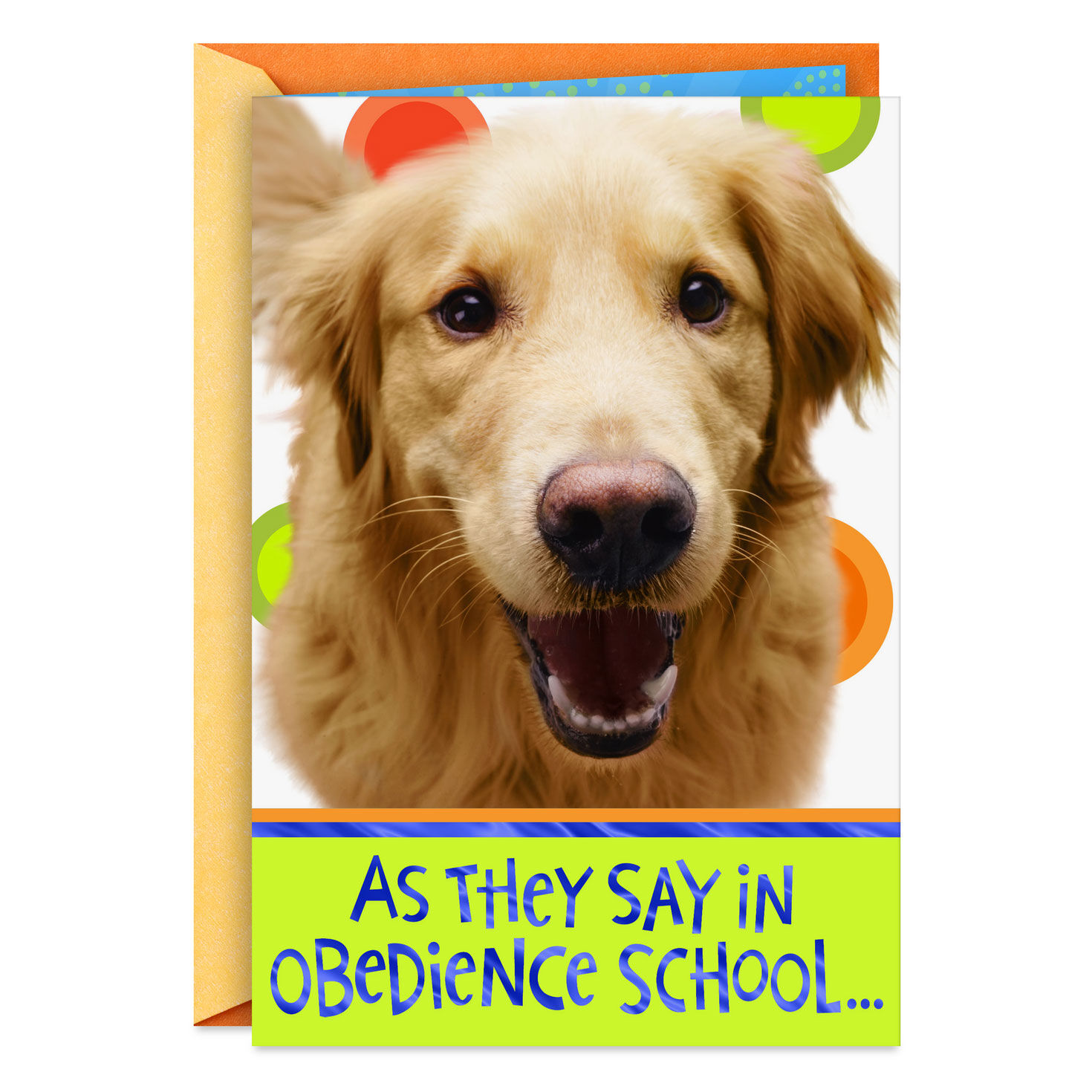 Golden Retriever Heal Get Well Card