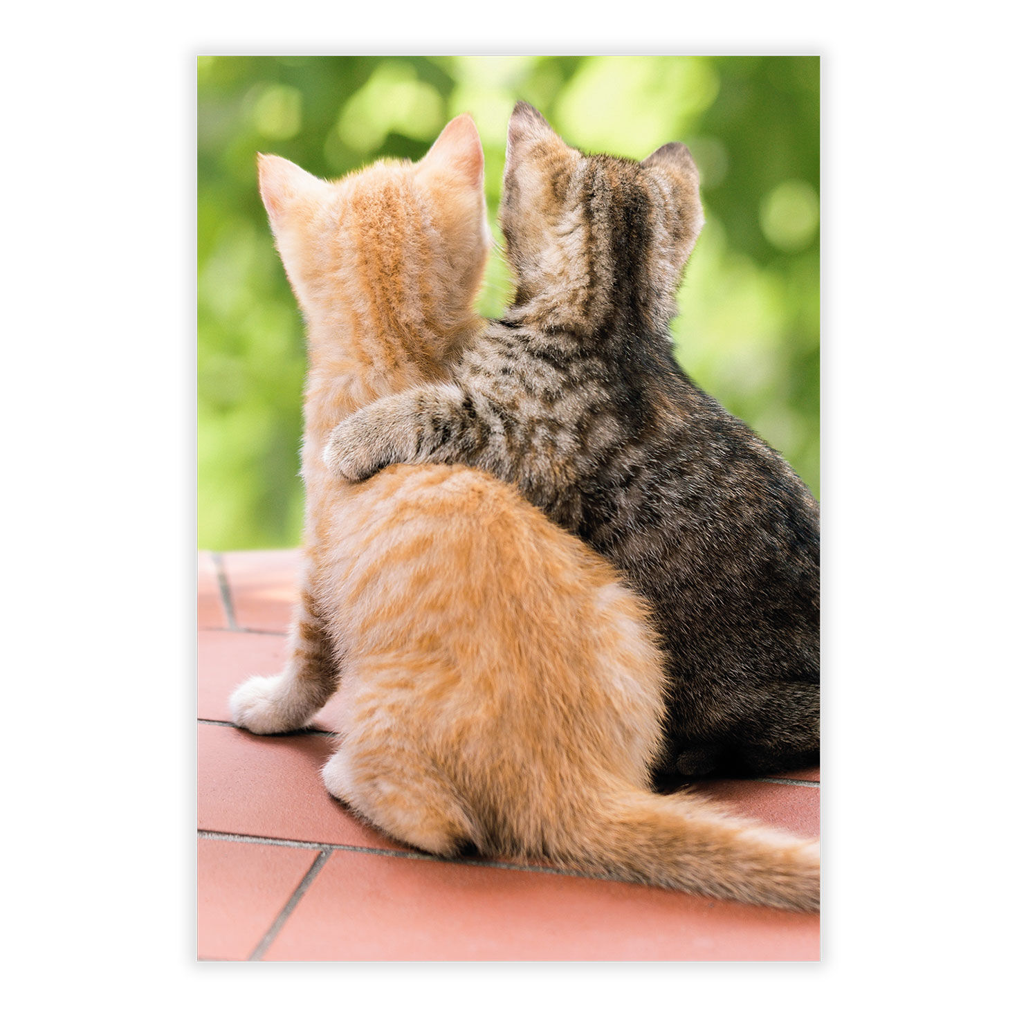 A Friend Like You Friendship eCard, , large image number 2