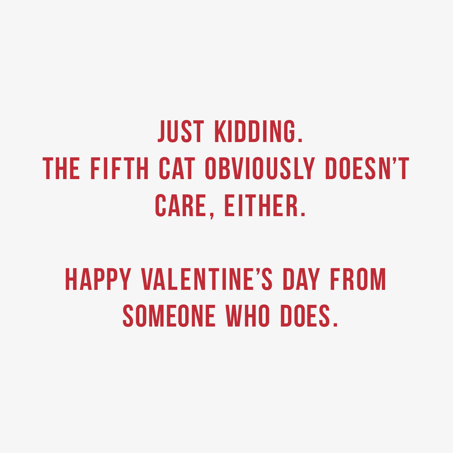 Cute Cat Photo Grid Funny Valentine's Day Card Sentiment image number 2