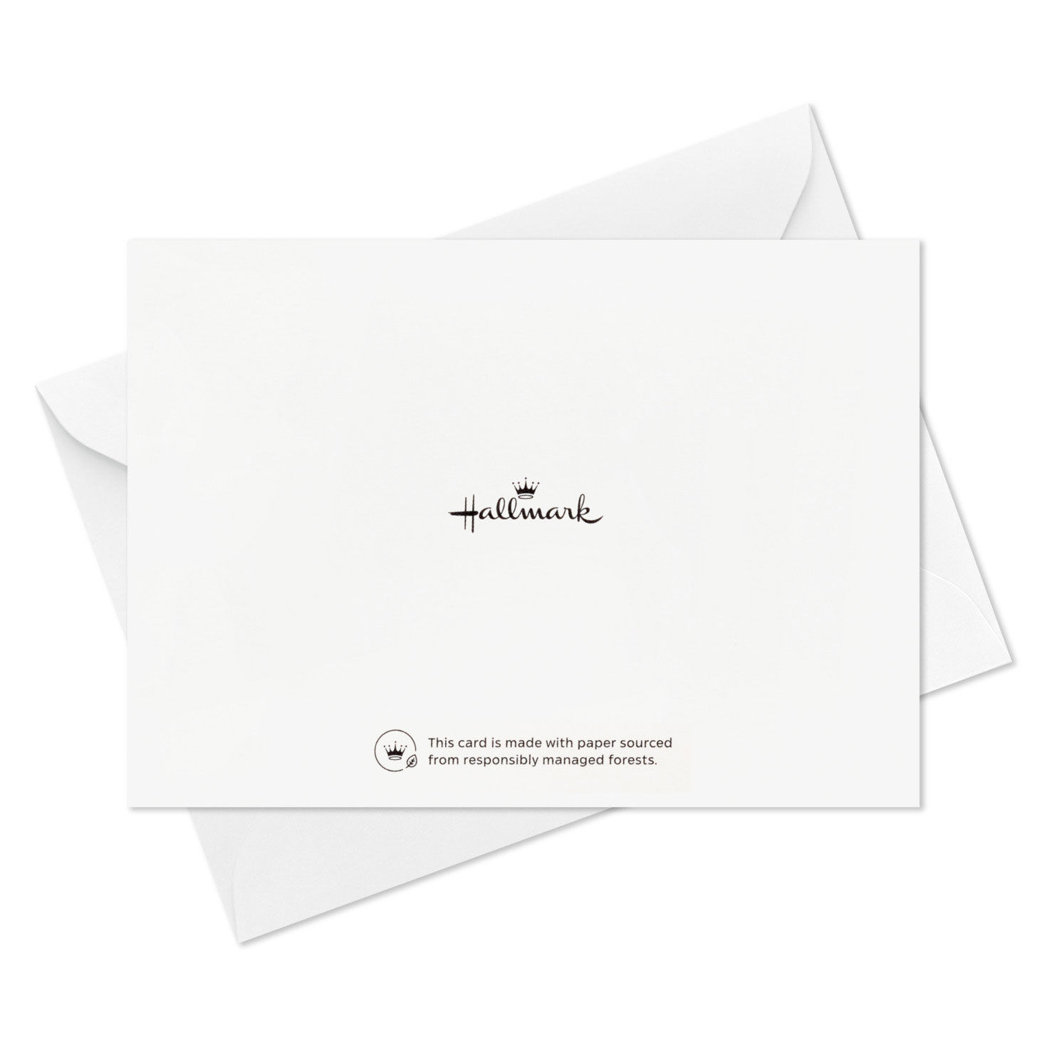 Black with Colorful Border Grads Thank-You Cards  image number 5