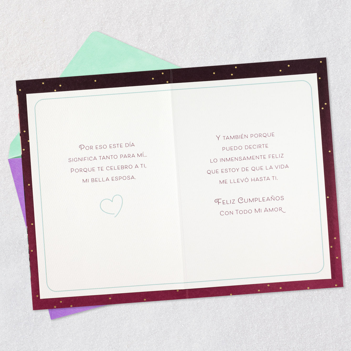 Pink Roses Green Succulents Wife Birthday Card in Spanish Open card with envelope image number 4