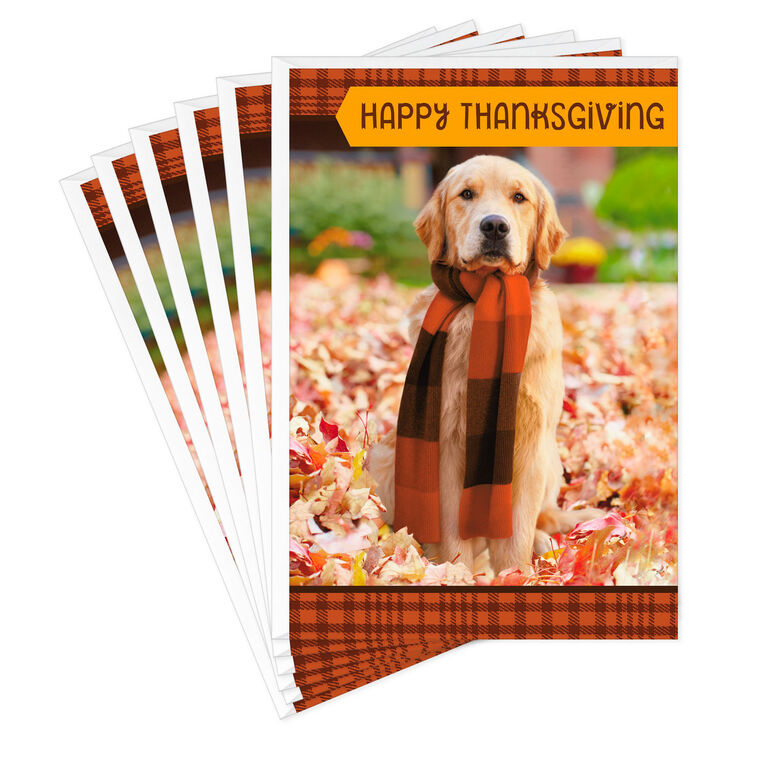 Warm Thoughts of You Thanksgiving Cards, Pack of 6