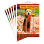 Golden Retriever in Scarf Thanksgiving Cards Pack Card Fronts image number 1