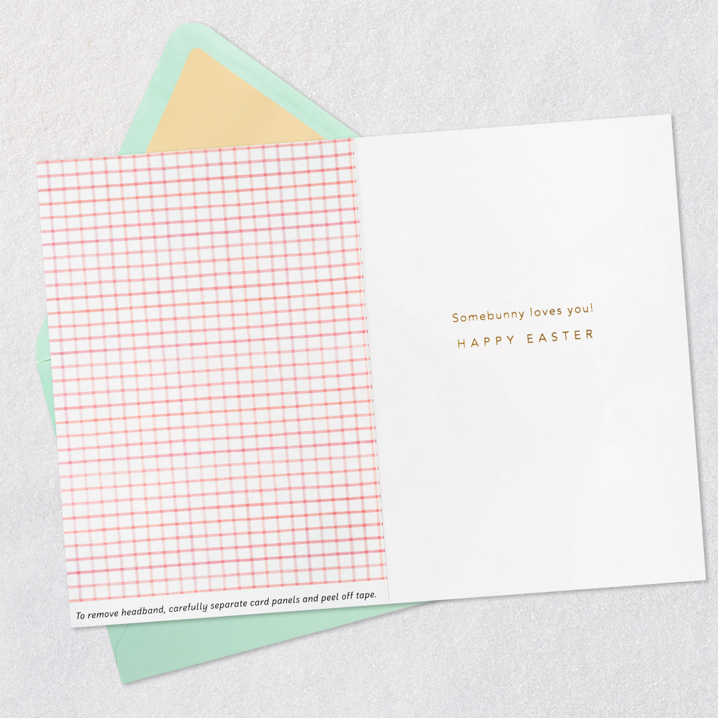 Pink Plaid Bunny Ears Headband Easter Card for Kids Open card with envelope image number 3