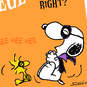 Peanuts® Snoopy and Woodstock Candy Funny Halloween Card, , large image number 4