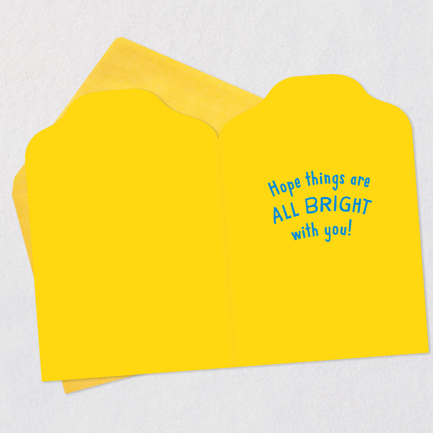 Dog in Sunglasses Hello Card, , large image number 3