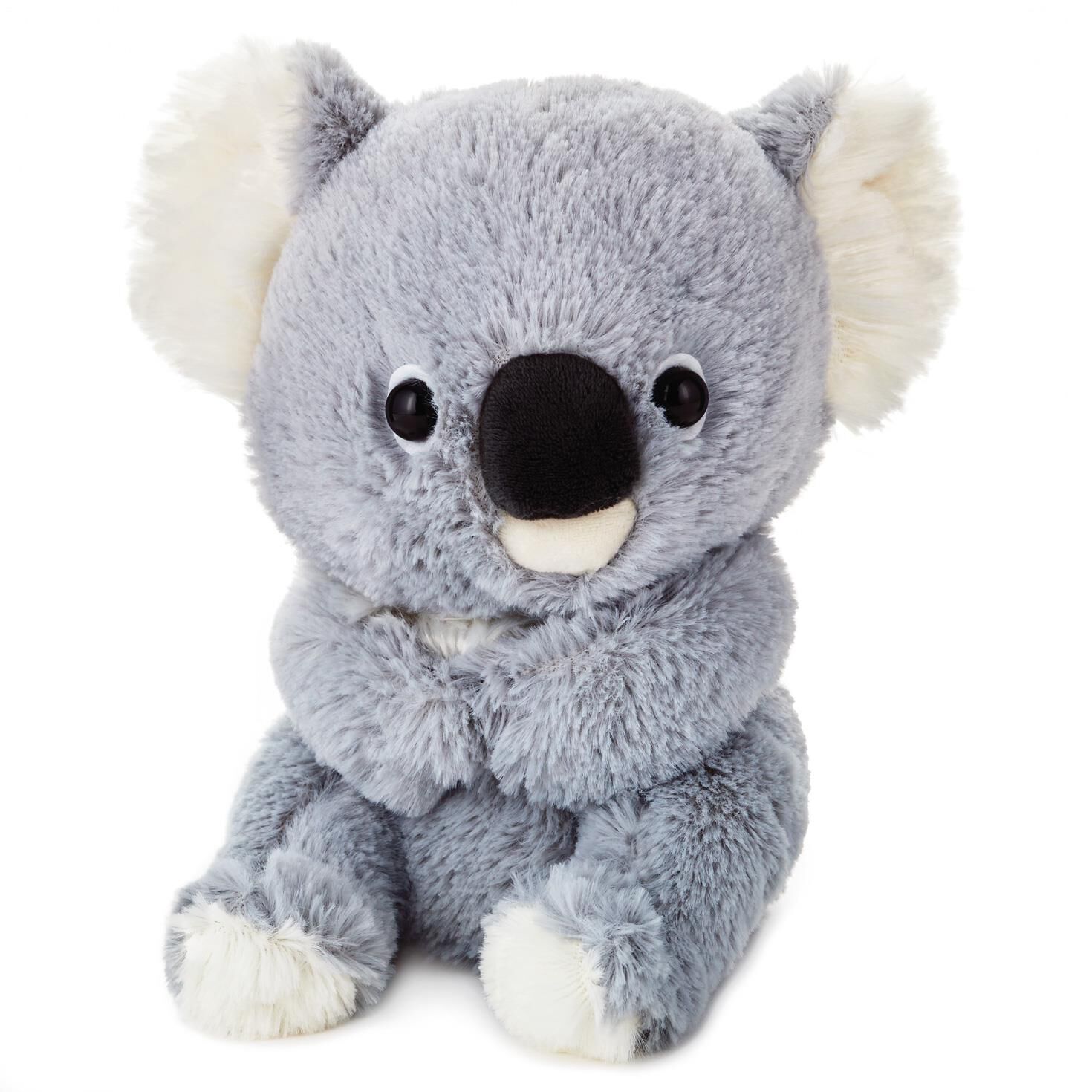 Baby Koala Stuffed Animal, 8.5 