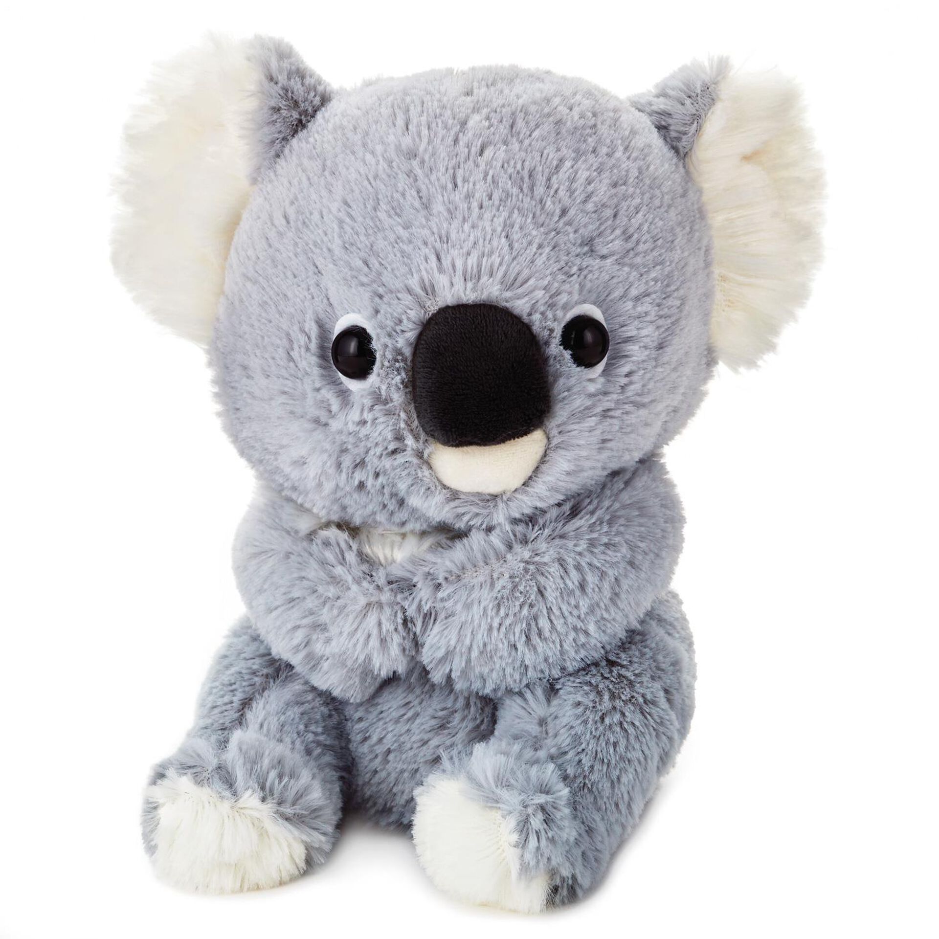 Baby Koala Stuffed Animal, 8.5" Classic Stuffed Animals Hallmark