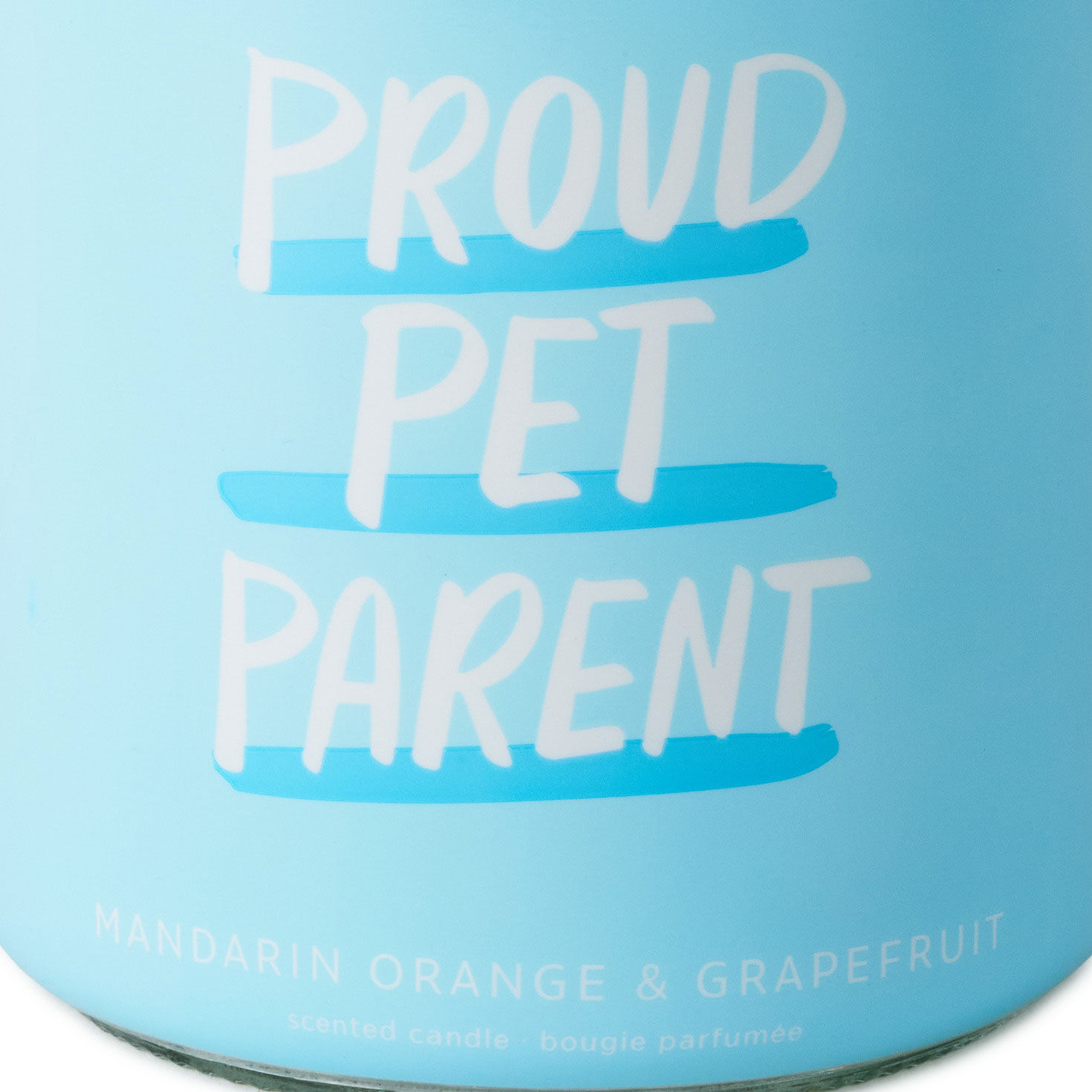 Proud Pet Parent Mandarin Orange and Grapefruit Scented Jar Candle, 7 oz. for only USD 14.99 | Hallmark