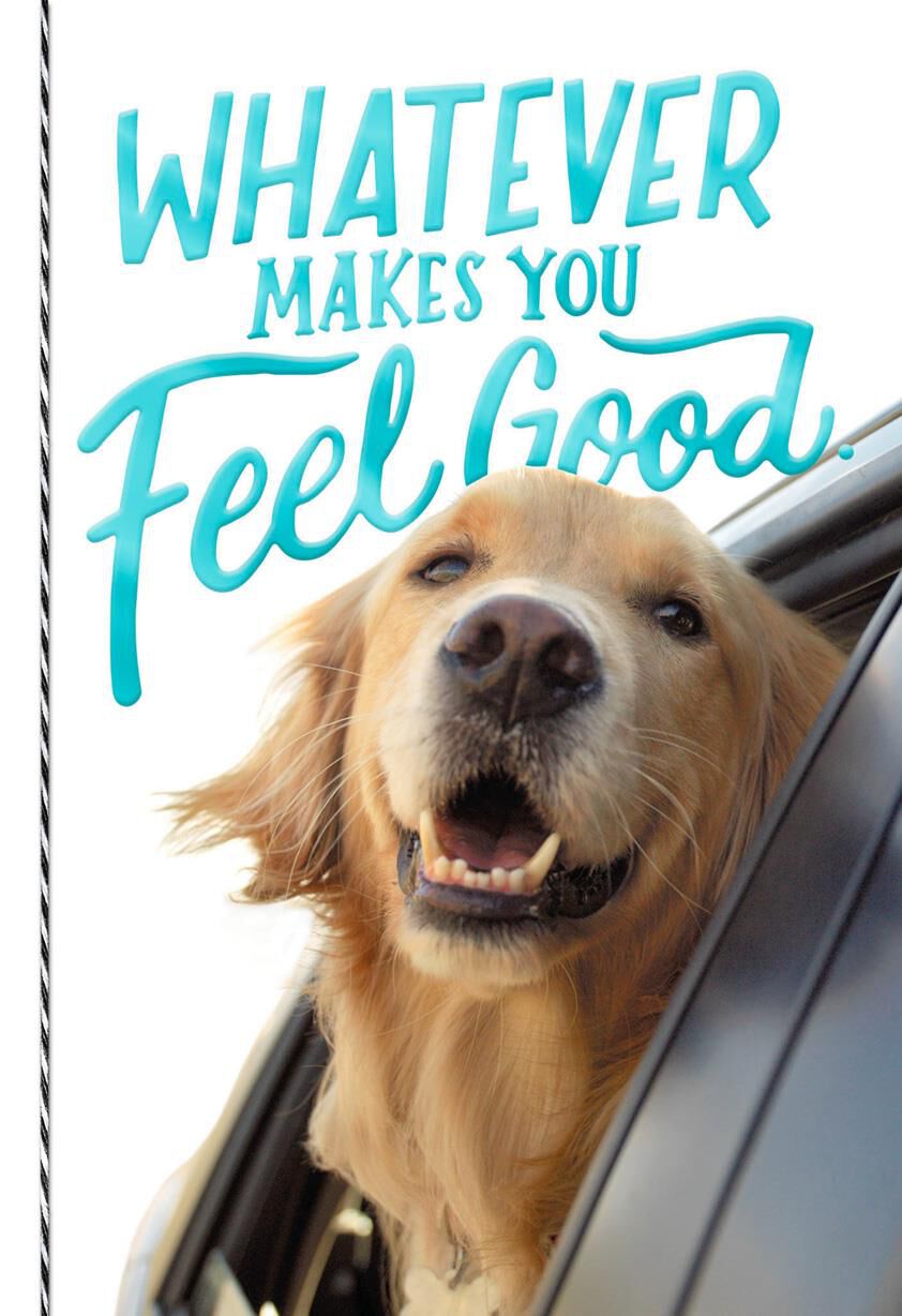 Joyriding Dog Feeling Good Birthday Card