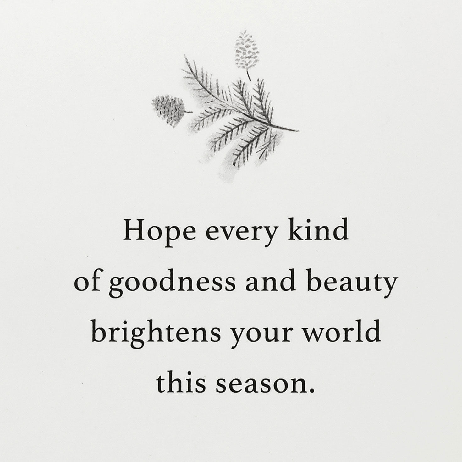 Greenery and Birds Peace Boxed Christmas Cards Sentiment image number 4