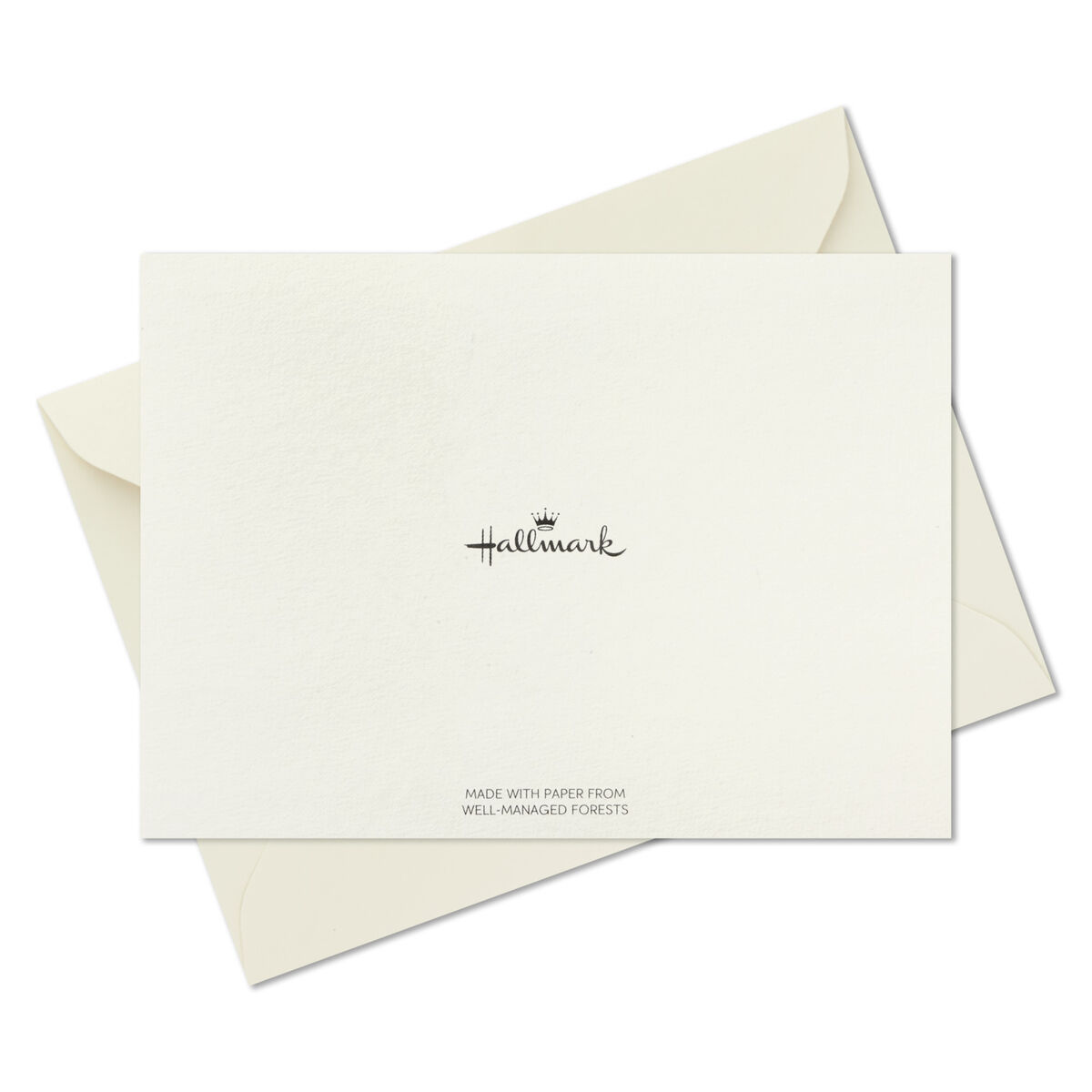 Black Script Bulk Boxed Blank ThankYou Notes, Pack of 40 Note Cards