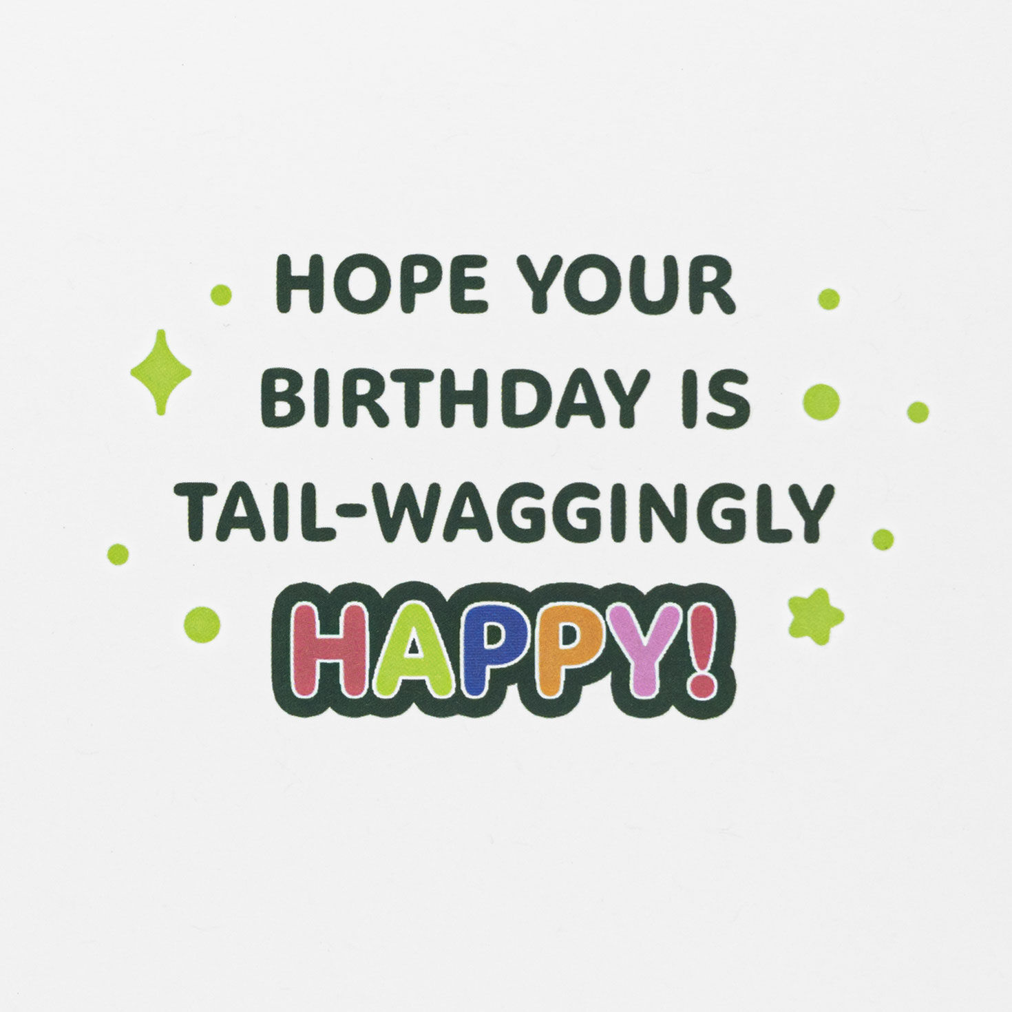 Corgi Dog in Party Hat Kids Birthday Card With Stickers Sentiment image number 2