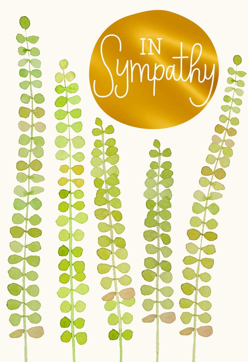 Ferns and Gold Foil Sympathy Cards, Pack of 10