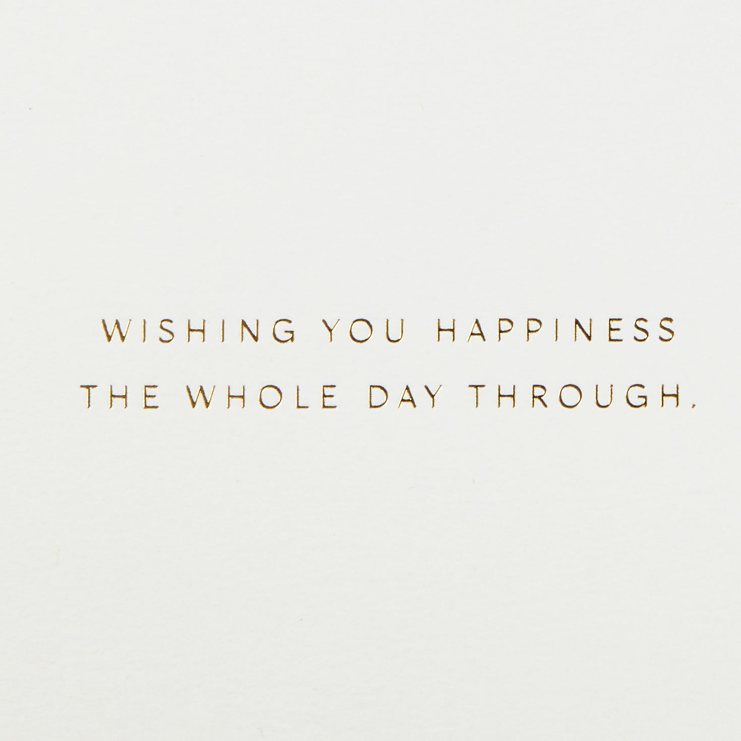 Snoopy and Woodstock Canoe Father's Day Card Sentiment  image number 2