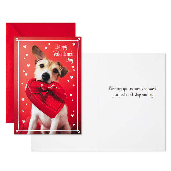 Dog With Box of Chocolates Valentine's Day Cards, Pack of 10, , large image number 2