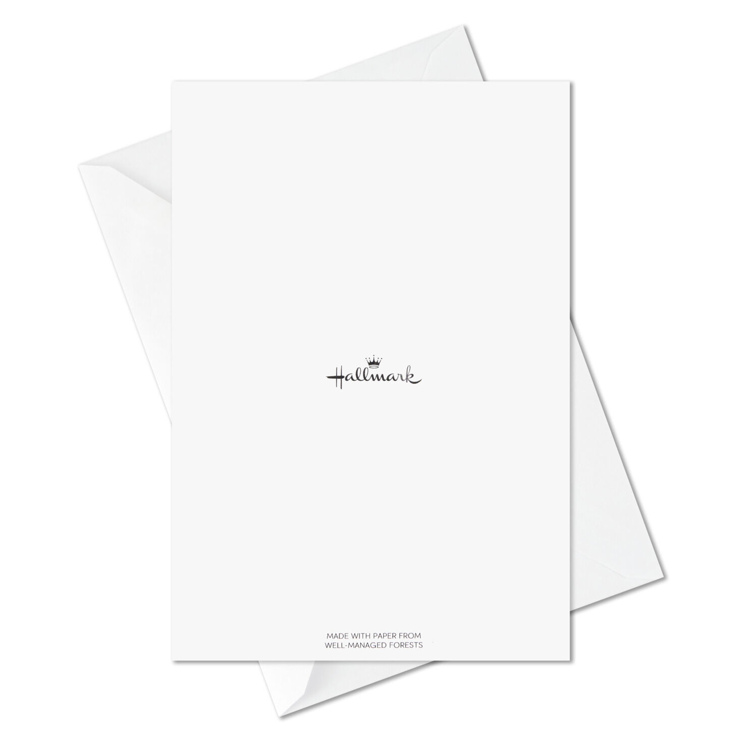 Assorted Bold and Iridescent Graduation Cards Bulk Pack Card Back with Envelope image number 10