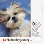 365 Dogs Page-A-Day Calendar, 2021, , large image number 3
