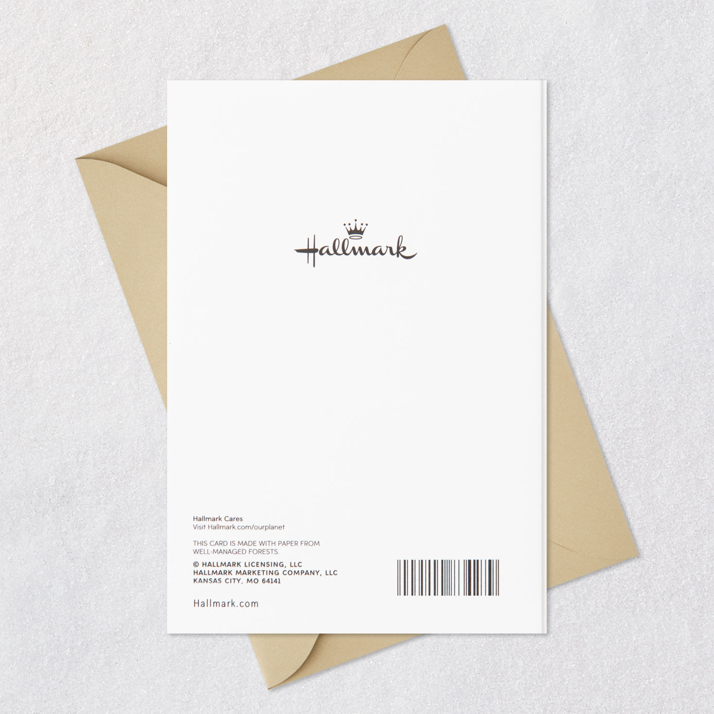 Fox on Scooter Retirement Congratulations Card  image number 7