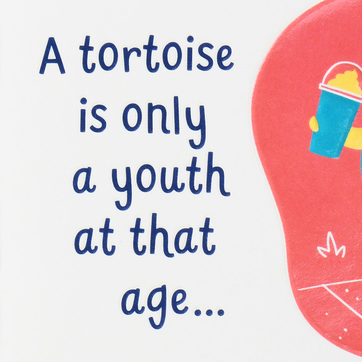 Saguaro Cactus and Tortoise 60th Birthday Card Sentiment image number 2