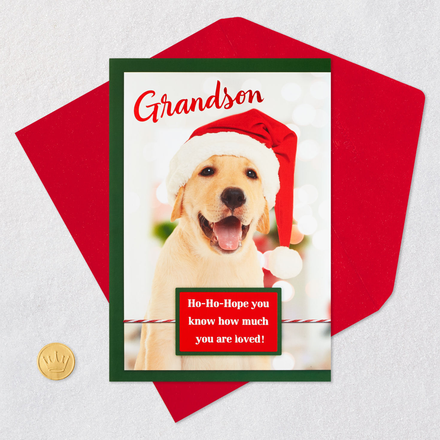 Golden Retriever in Santa Hat Grandson Christmas Card Card Front with Envelope and Gold Seal image number 5