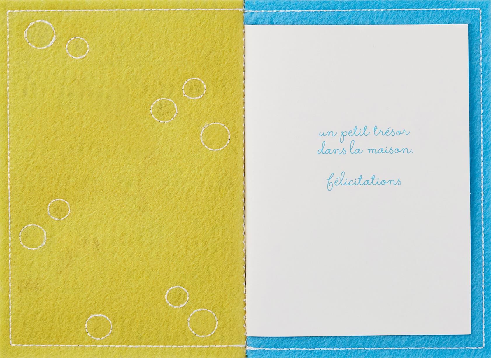 Lucky Little Boy French-Language New Baby Card