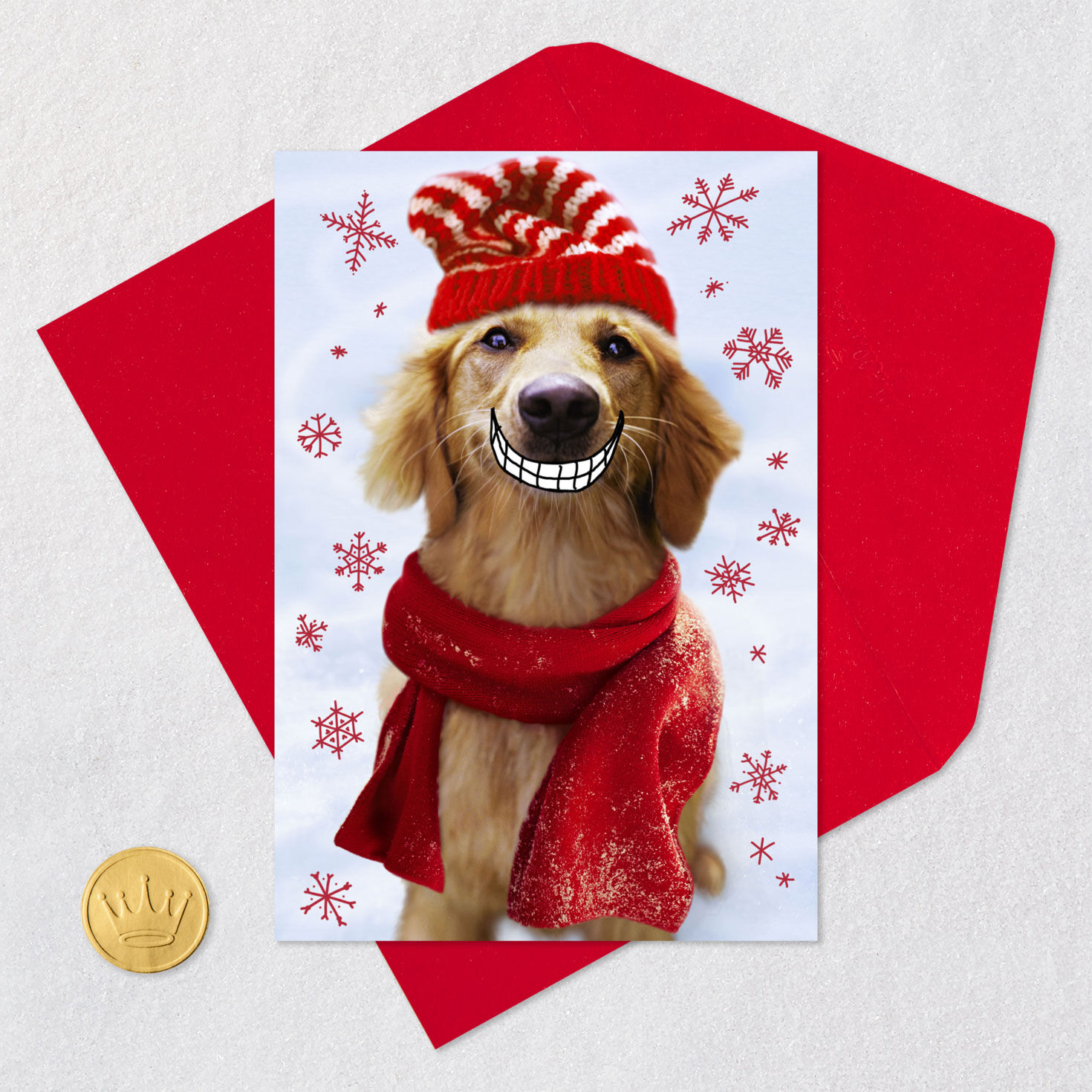 Dog Smiling Funny Christmas Card from Loved One Card Front with Envelope and Gold Seal image number 5