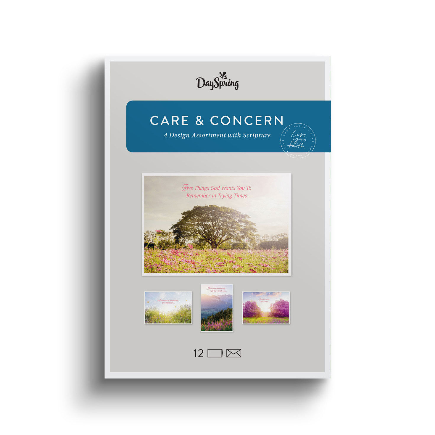 Scenic DaySpring Care and Concern Cards Assortment package front image number 2