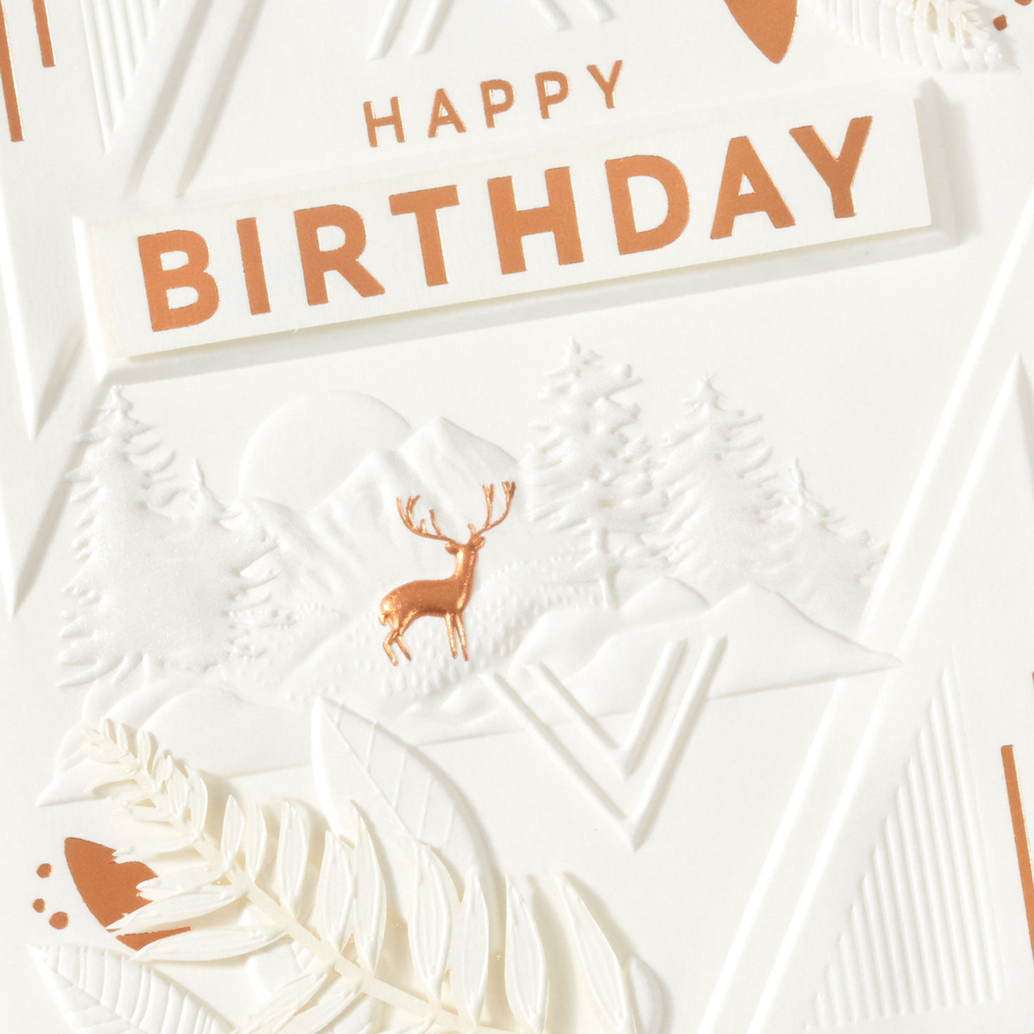 Deer in Woods Birthday Card for Him Card Front Detail image number 4