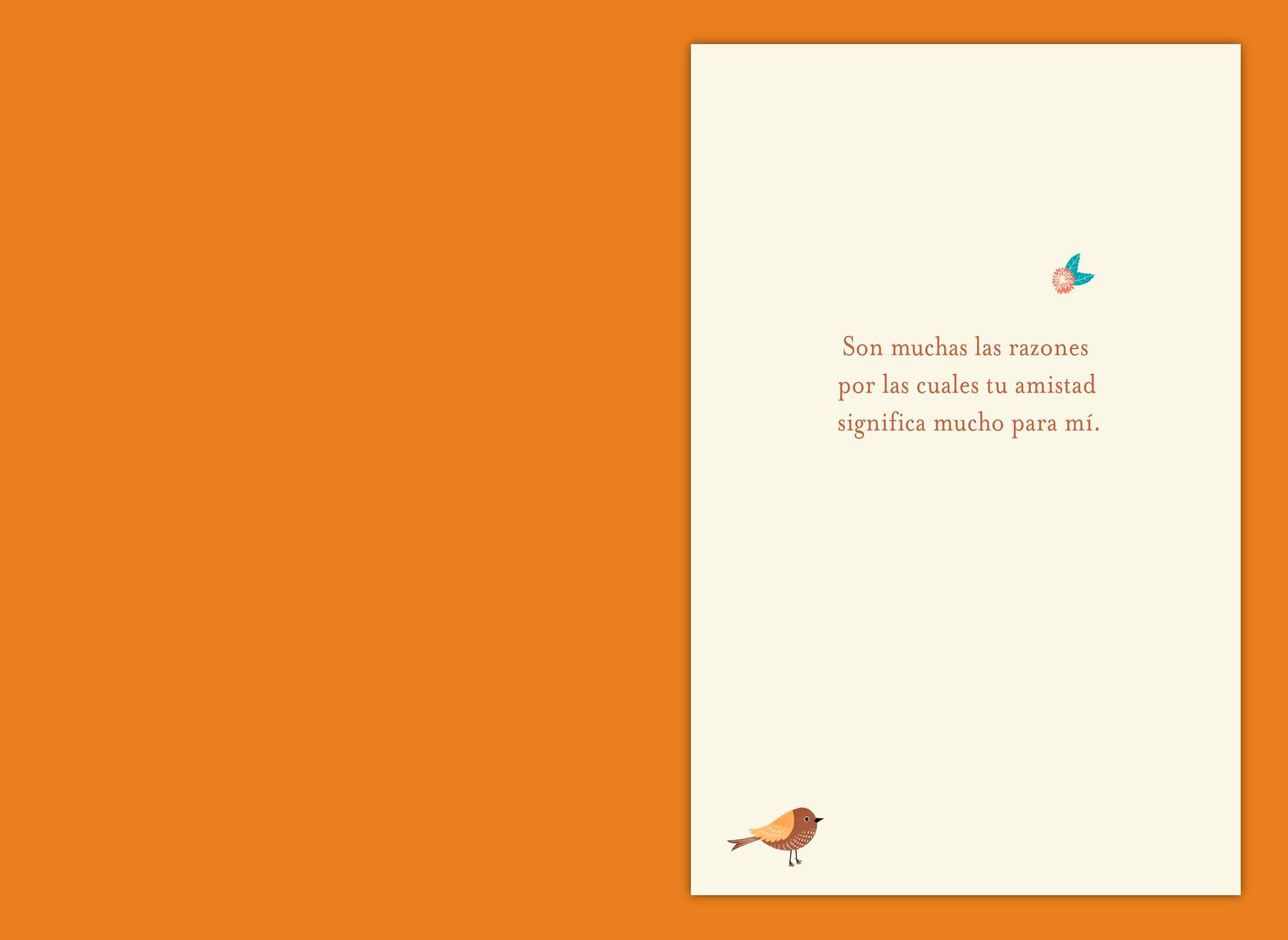 For Many Beautiful Reasons Spanish-Language Friendship Card