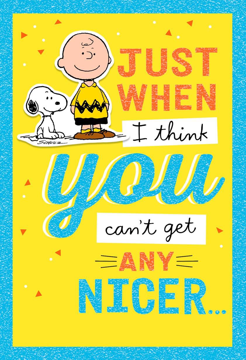 Peanuts® You Are Nice Thank You Card