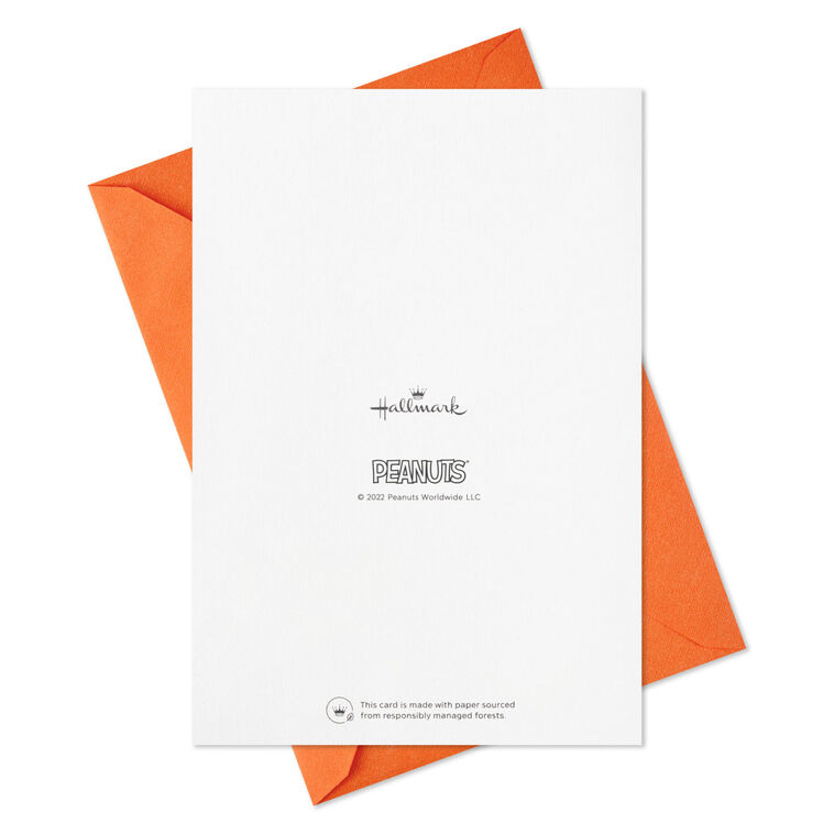 Peanuts® Good Wishes Boxed Thanksgiving Cards Assortment, Pack of 16, , large image number 6