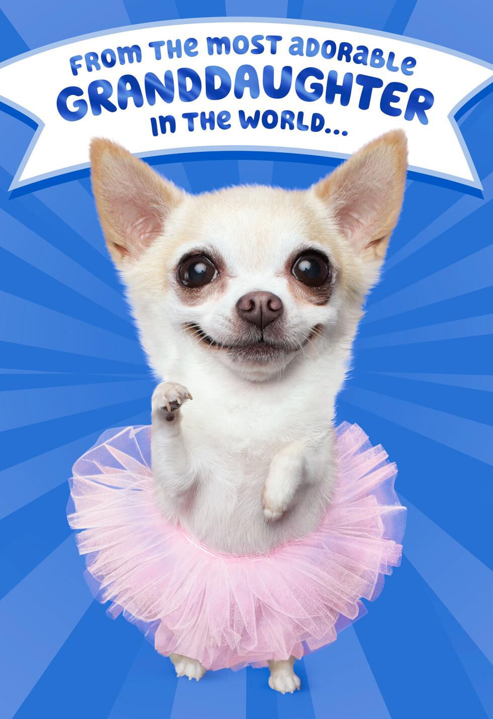 Download Most Amazing Grandpa Father's Day Card From Granddaughter ...