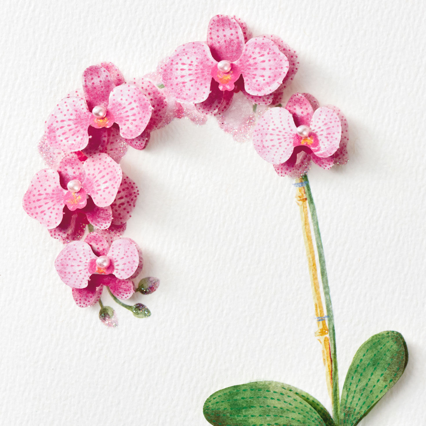 Pink Orchids in Chinoiserie Pot Birthday Card Card Front Detail image number 4