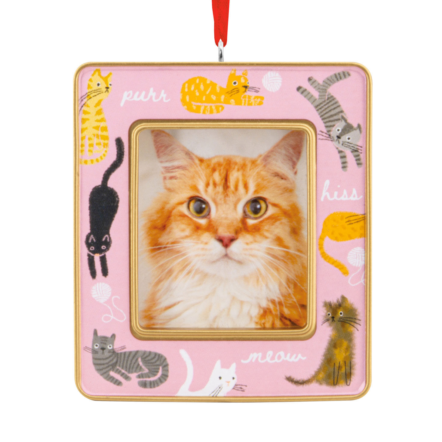 Playful Kitties 2026 Photo Frame Hallmark Ornament
