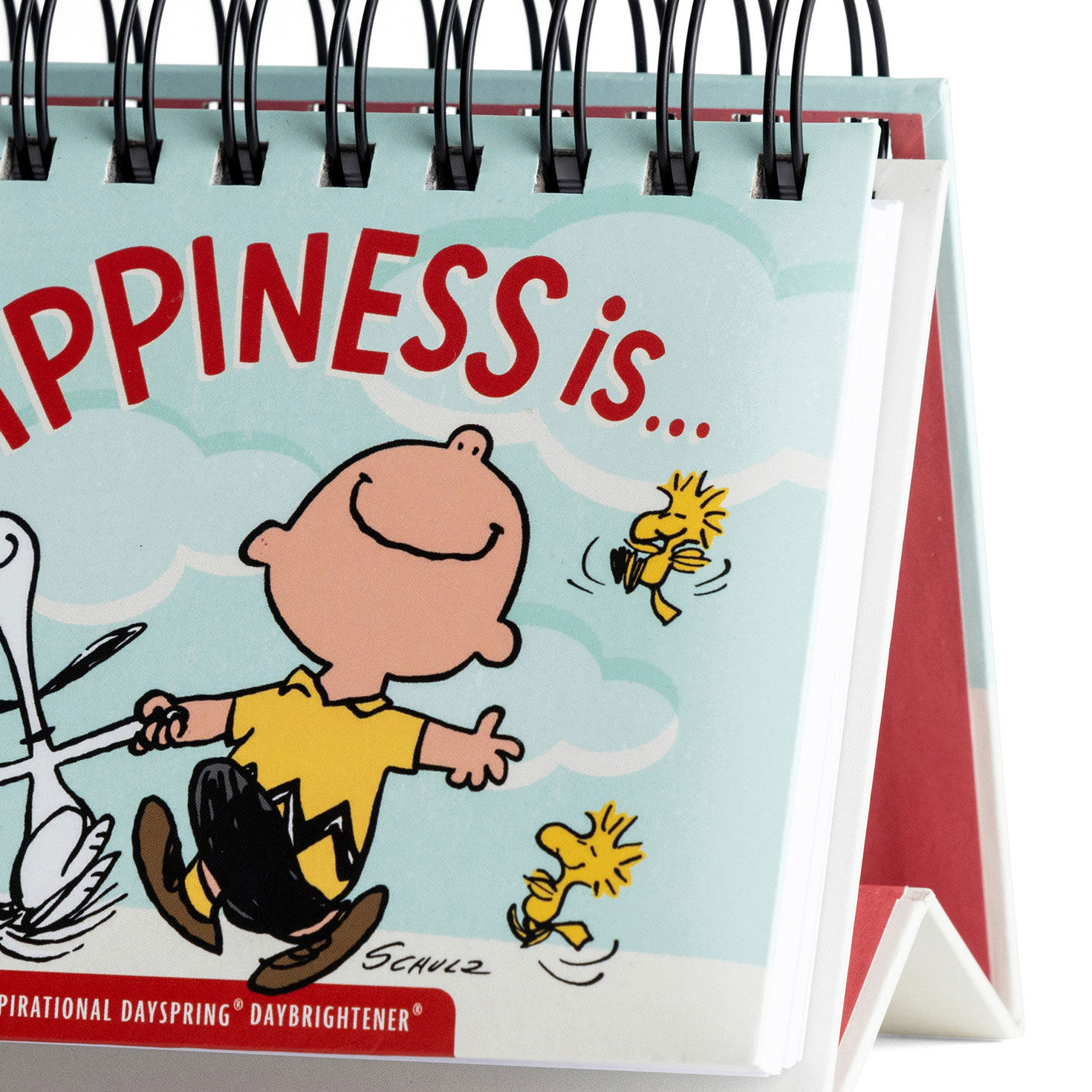 Peanuts Happiness Is Perpetual Calendar DaySpring  image number 5