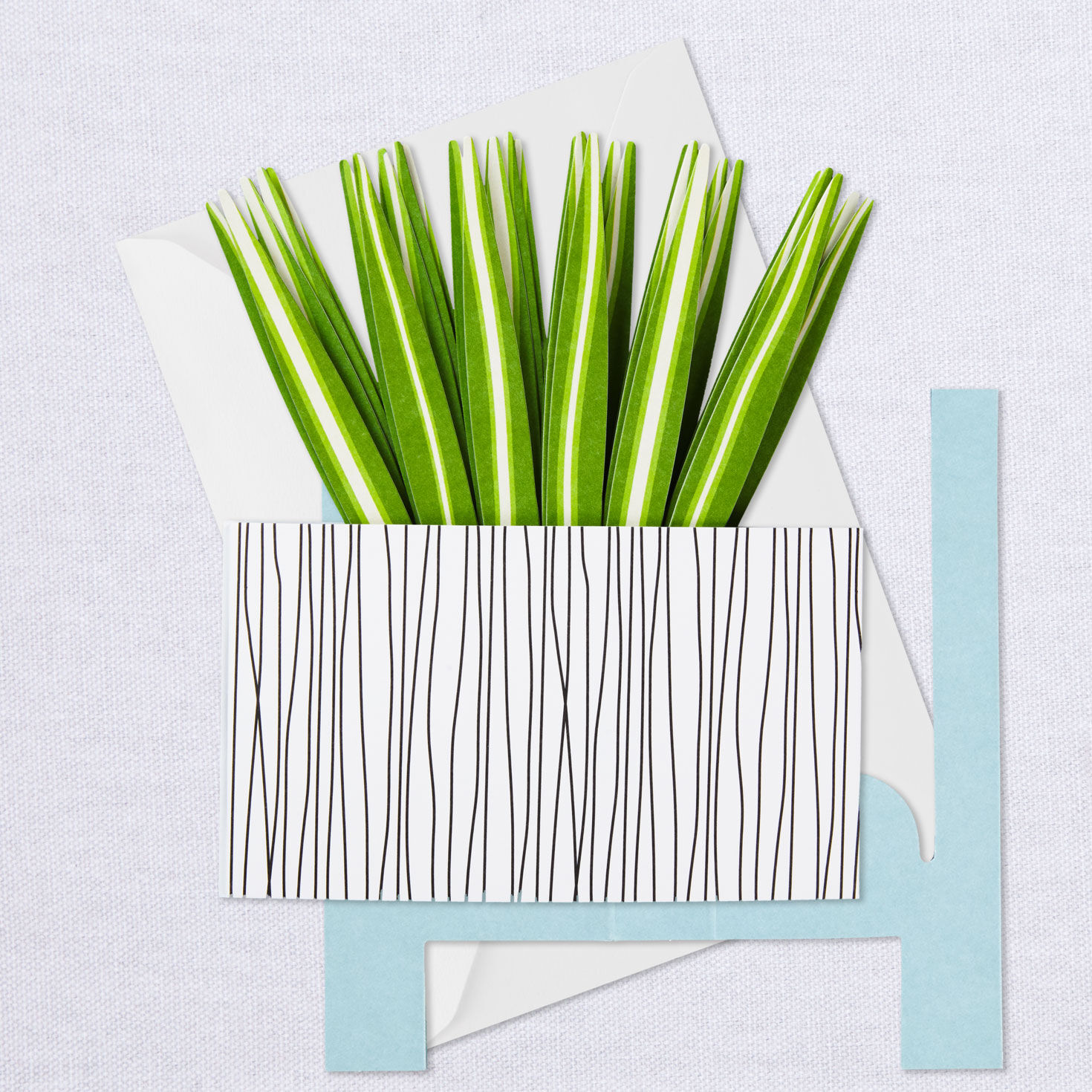 Spider Plant Keep Growing 3D Pop-Up Hello Card, , large image number 7