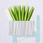 Spider Plant Keep Growing 3D Pop-Up Hello Card, , large image number 7