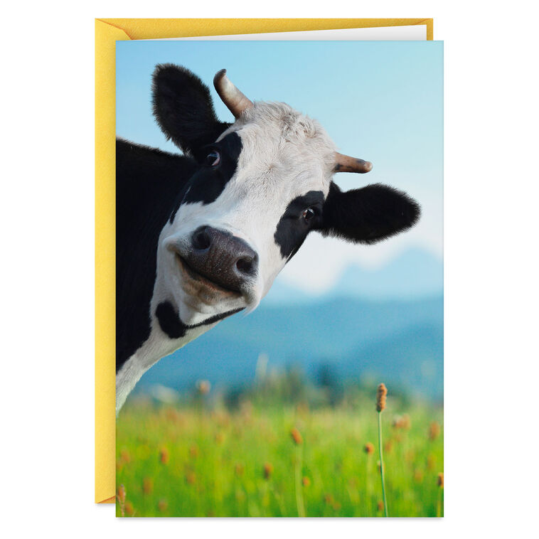 Moo-chas Gracias Funny Thank You Card