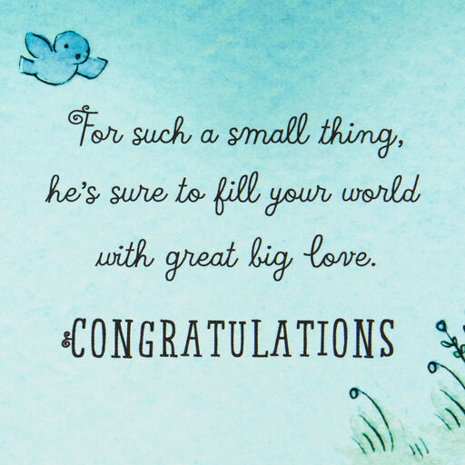 Great Big Love New Baby Boy Card, 