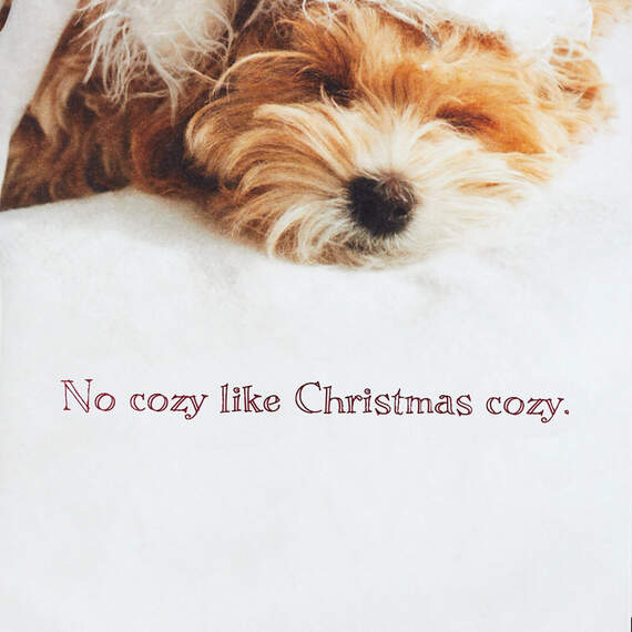 Cozy Puppy Dog in Santa Hat Christmas Card, , large image number 2