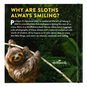 Life in the Sloth Lane: Slow Down and Smell the Hibiscus Book, , large image number 4